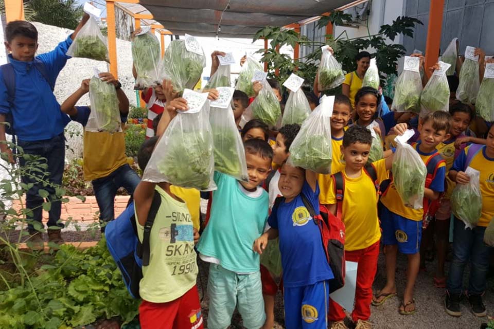 Porto Velho: alunos da Rio Madeira colhem produtos da horta orgânica plantada por eles