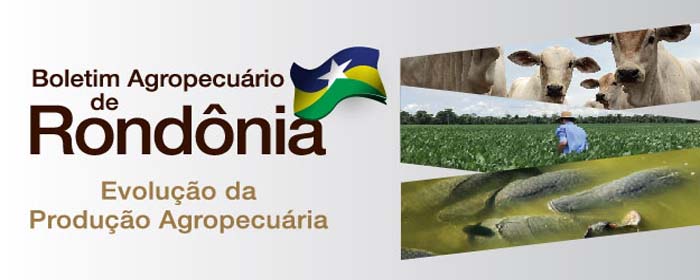 Embrapa lança boletim periódico com dados agropecuários de Rondônia