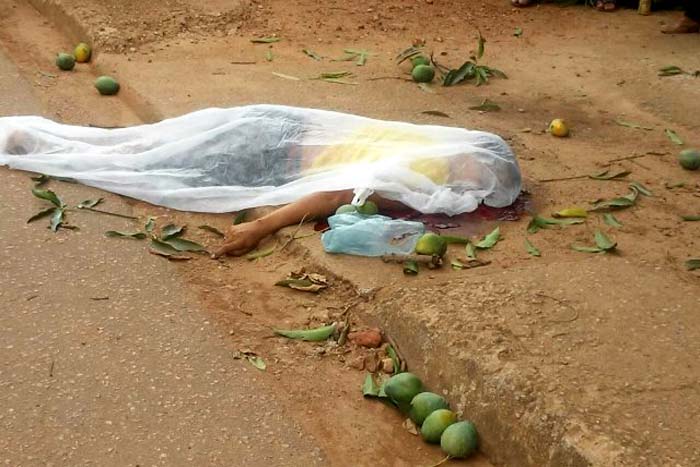 Homem morre ao cair de mangueira em Porto Velho