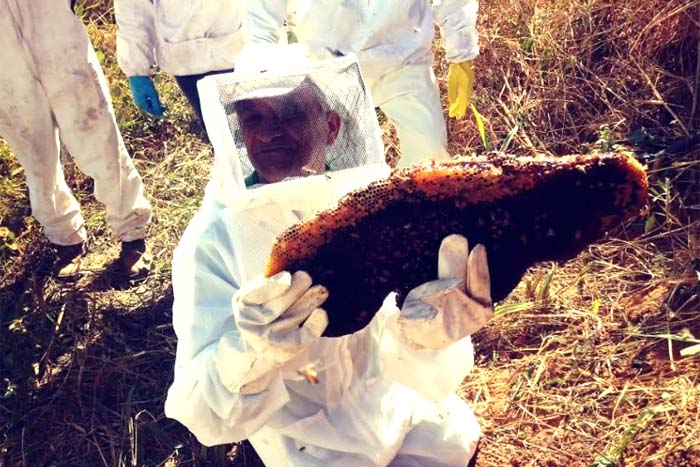 Curso de apicultura é realizado pela Sema em parceria com o Senar