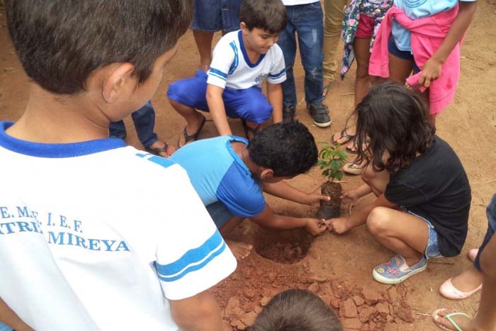 Departamento de meio ambiente realiza plantio de árvores em escola