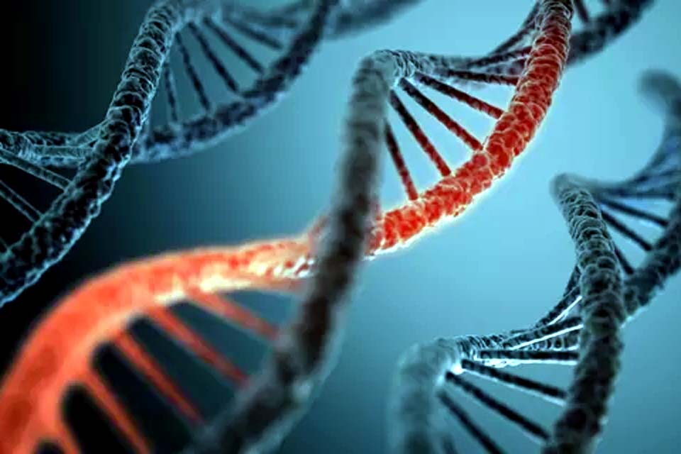 Pesquisadores fazem 1º mapa do DNA de habitante de Pompeia
