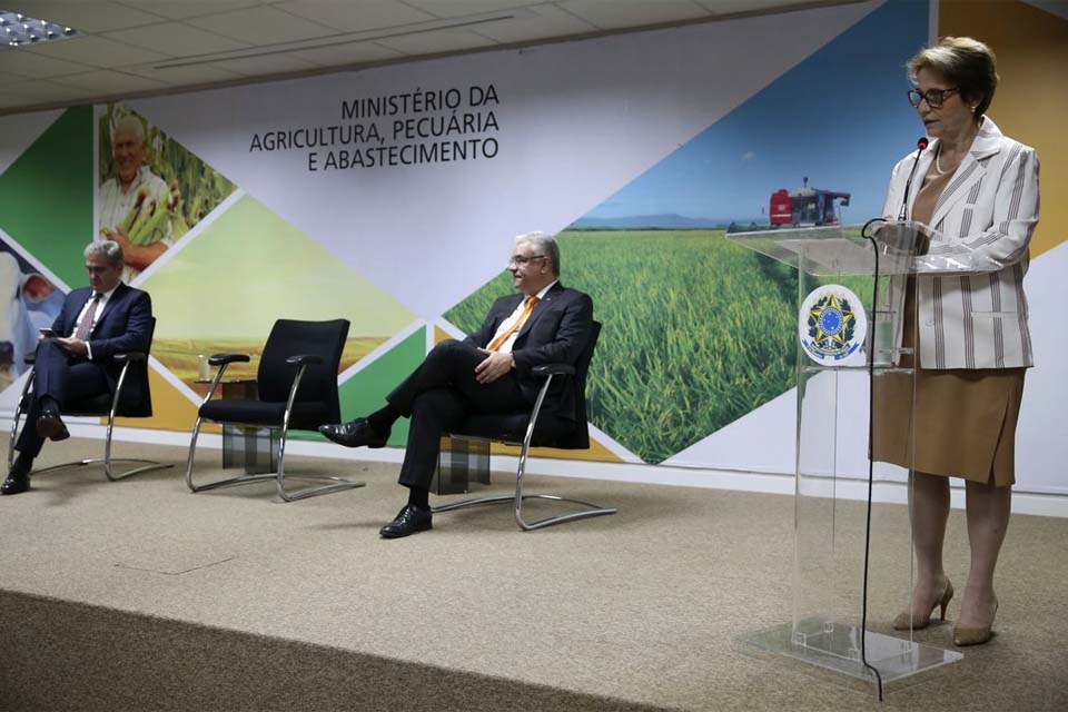 Representantes do Brics conhecem inovações agrícolas do Brasil