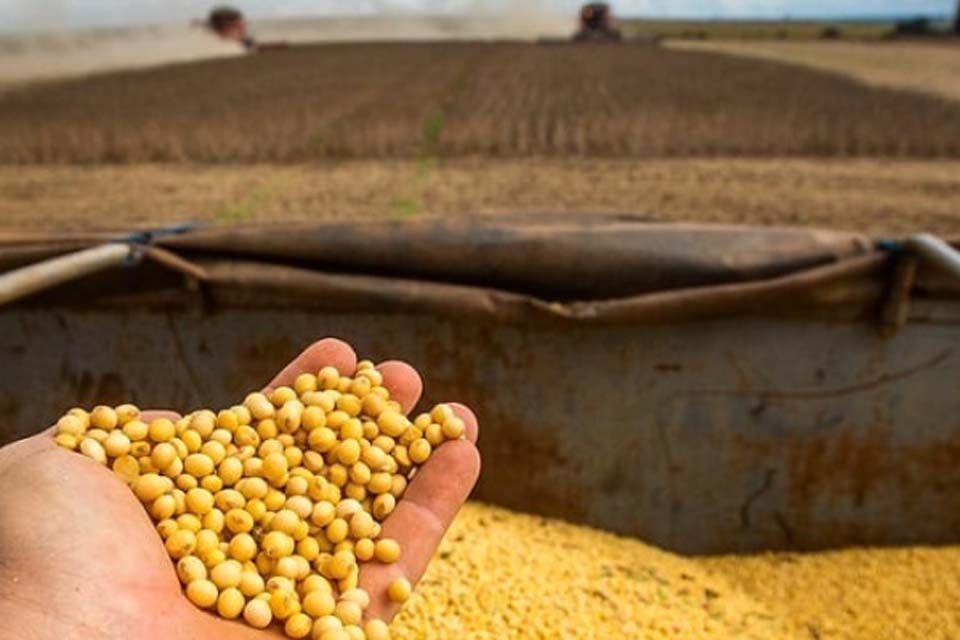 Deputados e Aprosoja lideram movimento contra Moratória da Soja