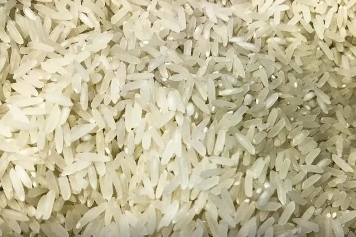 Terremoto: Brasil doará 10 toneladas de arroz à Colômbia
