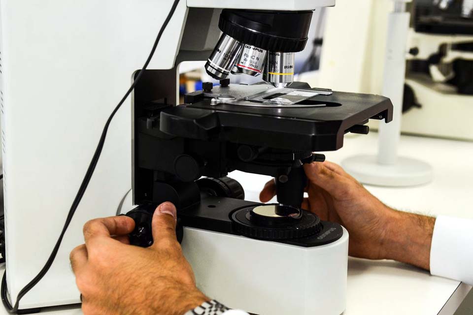 Brasileira desenvolve novo tratamento para câncer de ovário