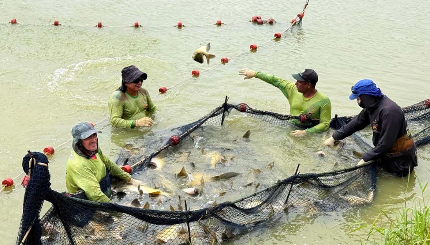 Fórum debate mercado, inovação e fortalecimento dos pequenos negócios em Rondônia