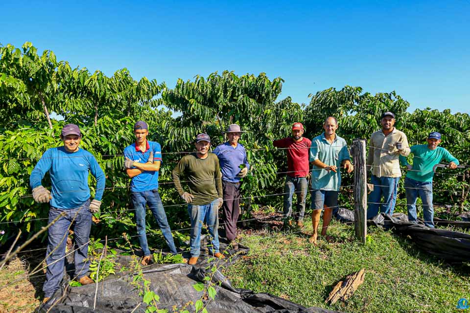 Produção de café dobra e realiza sonhos em Nova Brasilândia do Oeste