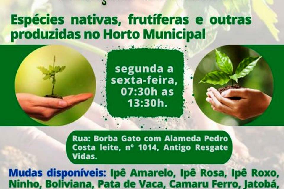 Secretaria do Meio Ambiente está doando diversas mudas de espécies nativas e frutíferas