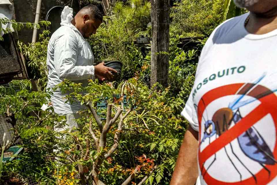 DENGUE: DF entra na lista das 10 unidades da federação com tendência de queda nos casos da doença