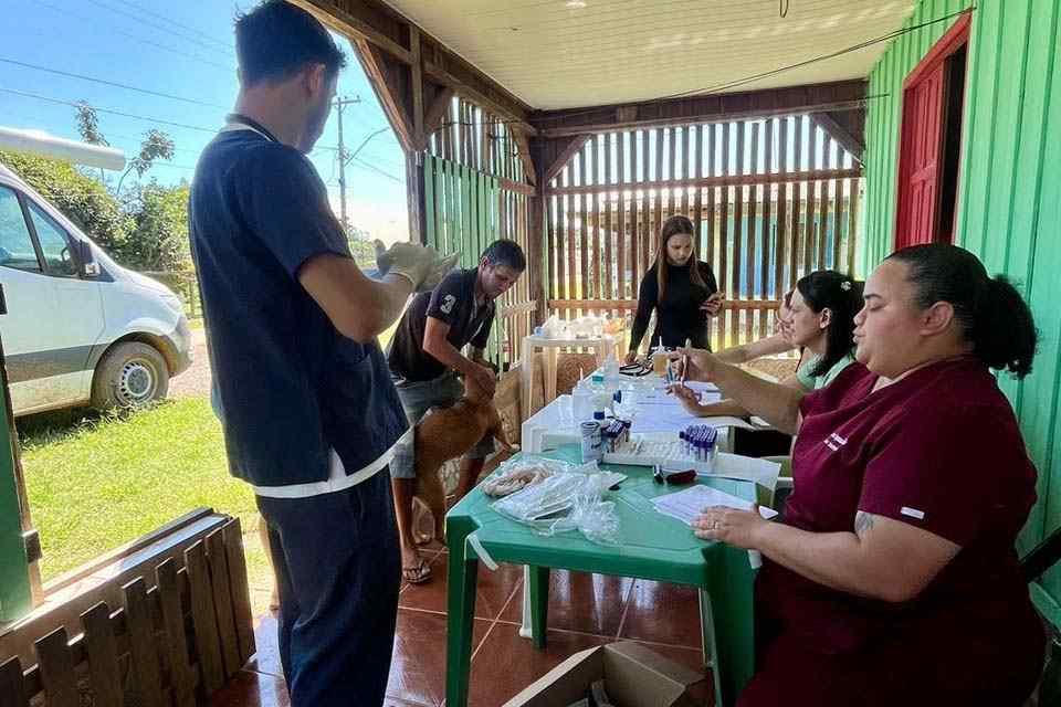 Serviços veterinários são exclusivamente gratuitos para a população de baixa renda