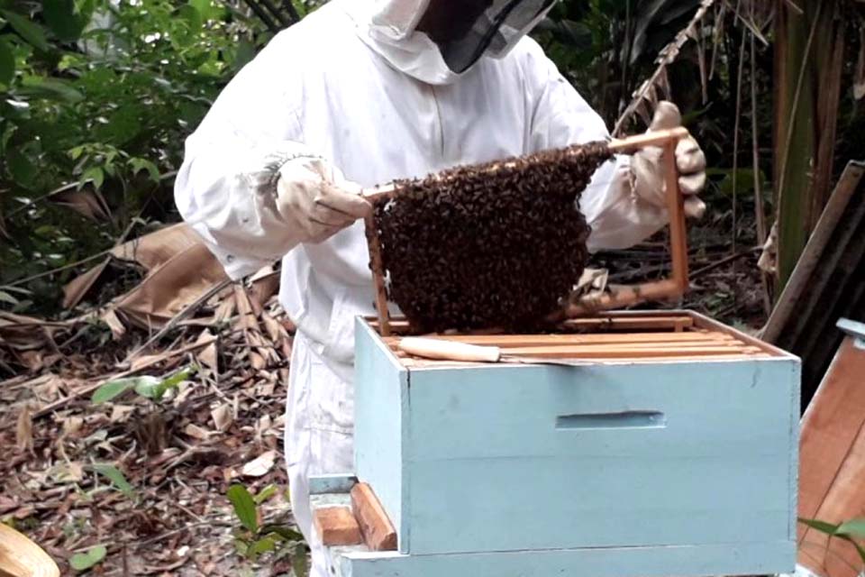 Programa prevê mais investimentos com responsabilidade técnica e ambiental