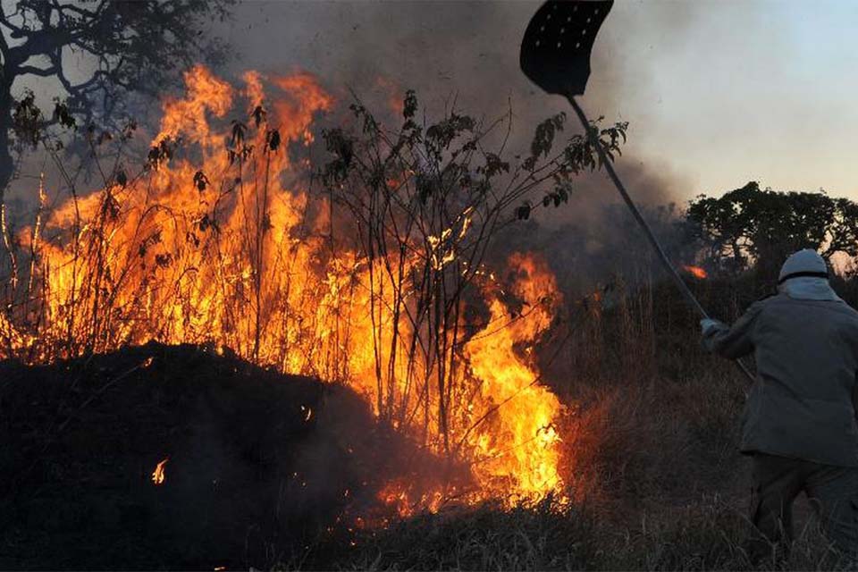 Governo federal declara emergência ambiental em Rondônia, DF e outros 17 estados do Brasil