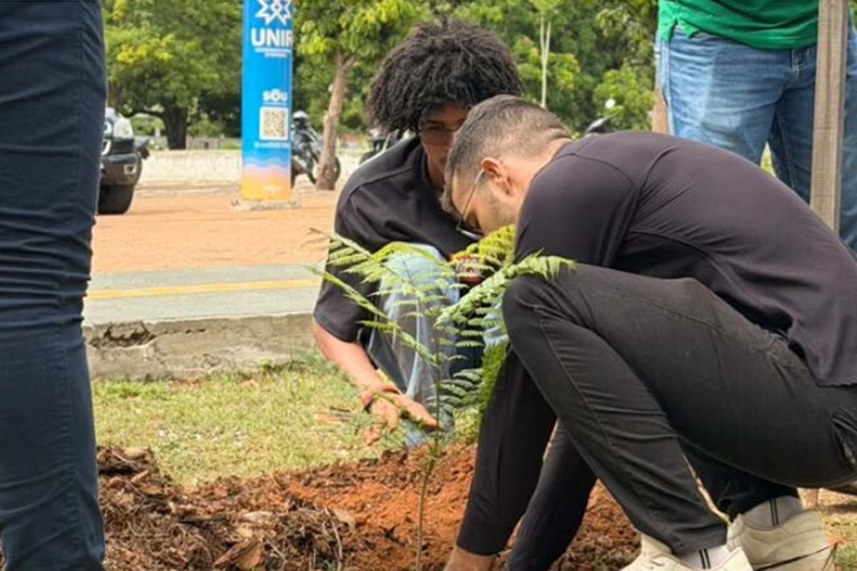Dia da Árvore: SEMMADU e UNIR unem conhecimento e ação para fortalecer a preservação ambiental
