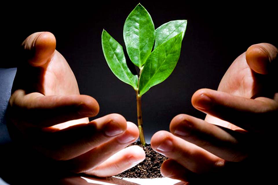 MP pede ao TCU que analise impacto de 'baixa' execução orçamentária na área ambiental