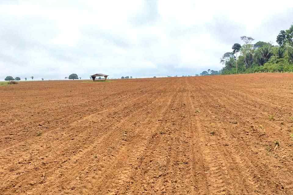 Produtores são beneficiados com assistência técnica no plantio do milho