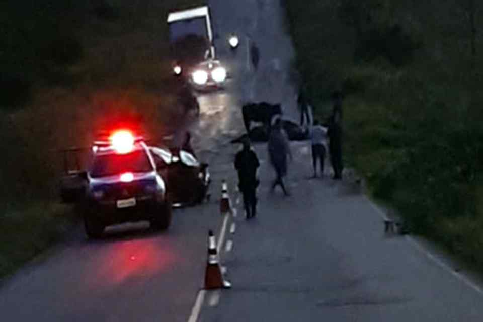  Três pessoas ficam feridas após dois veículos colidirem com búfalos