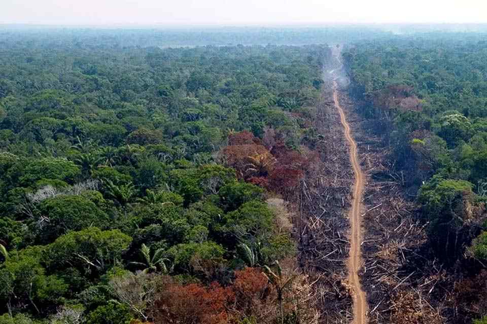 Amazônia: 2022 já tem pior marca da série histórica de alertas de desmate do Inpe