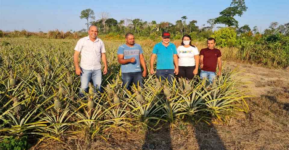 Cujubim ganha título de Capital do Abacaxi
