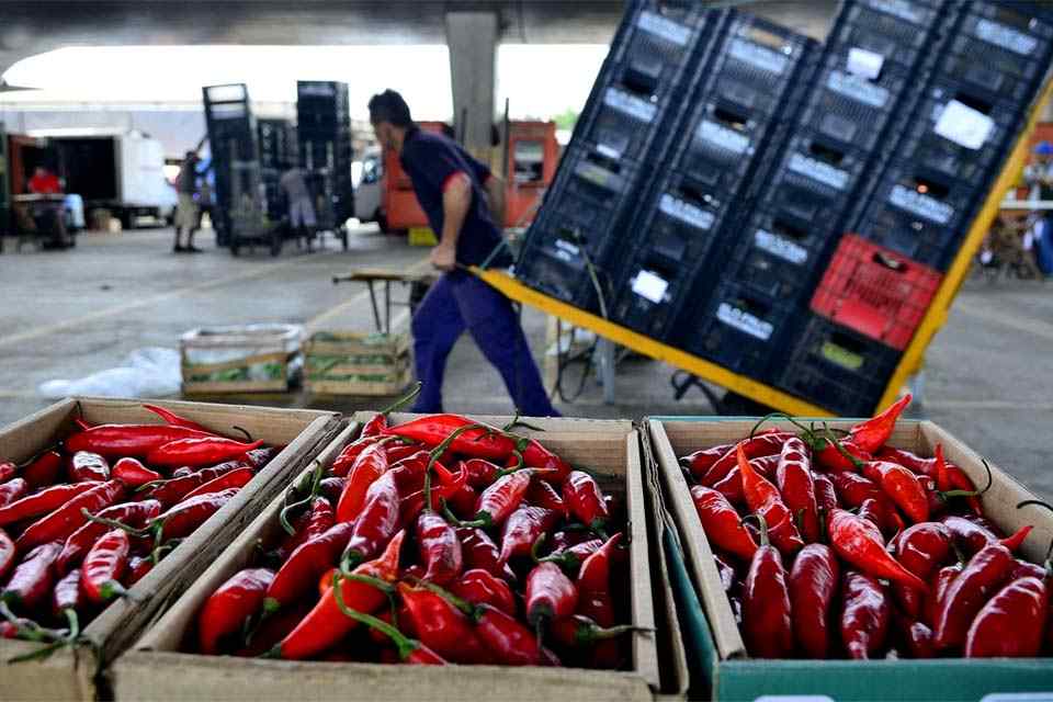 Mapa: 89% dos vegetais comercializados são seguros para consumo