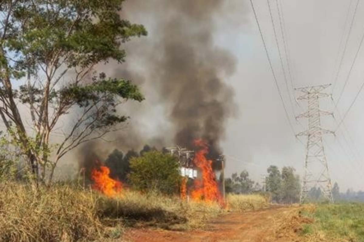 Queimadas podem provocar interrupções no fornecimento de energia em Rondônia