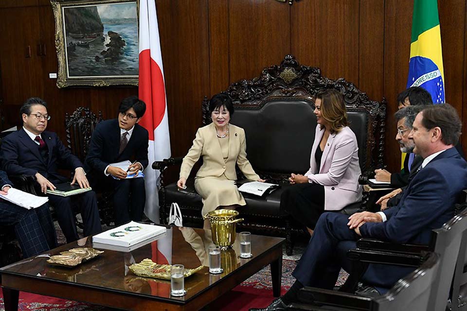 Senadores Paulo Rocha, Leila Barros e Acir Gurgacz recepcionam senadores japoneses 