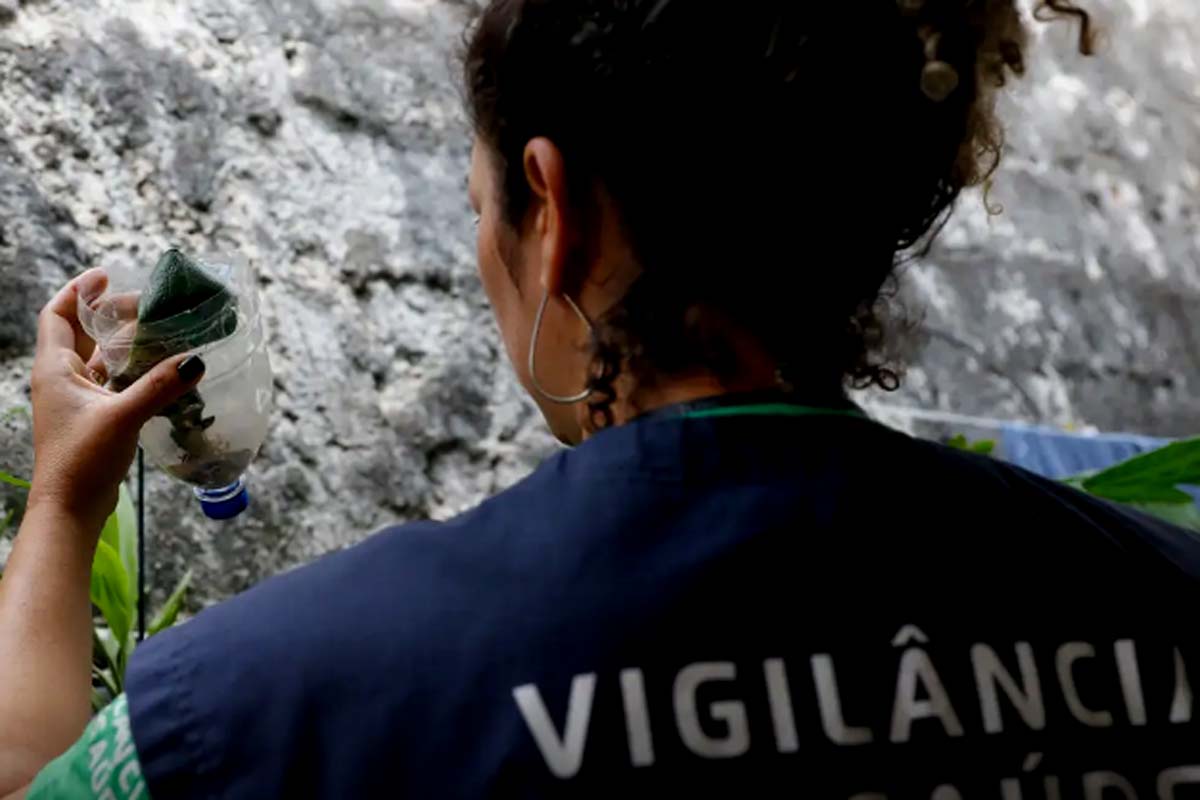 São Paulo tem mais de 58 mil casos de dengue desde o início do ano