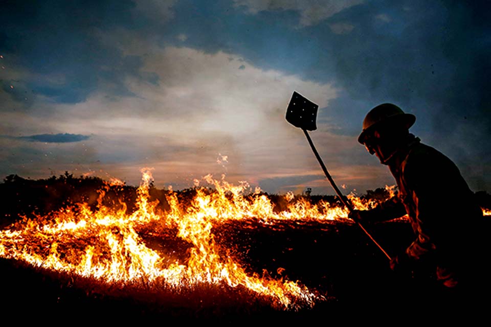 Alertas de desmatamento na Amazônia batem recorde em março