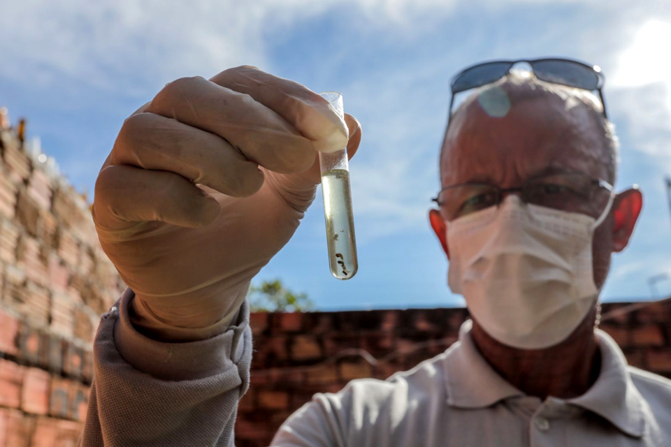 Transmissor da dengue está presente em 2,1% dos imóveis de Porto Velho