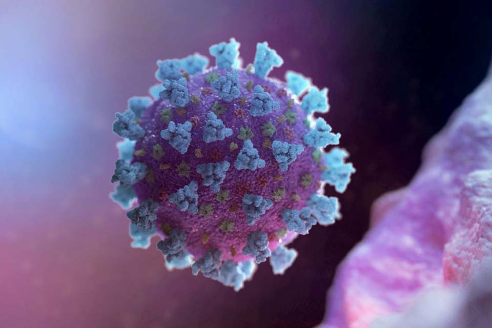 Estudo mostra que bebês de mães com covid-19 têm anticorpos