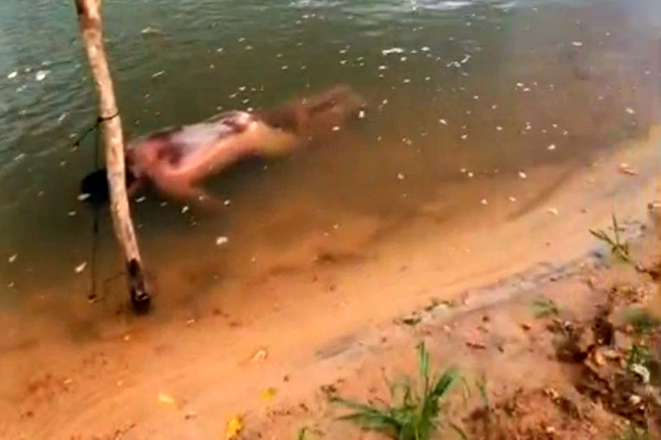 Corpo de homem com sinais de execução é encontrado no Rio Machado