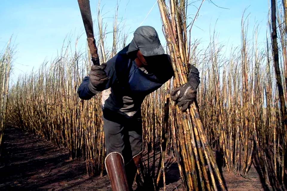 Brasil teve mais de mil pessoas resgatadas do trabalho escravo em 2019