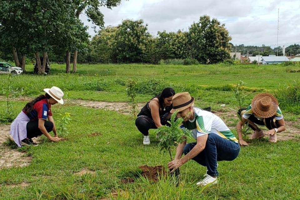 Parceria resulta em plantio de 283 mudas de árvores 