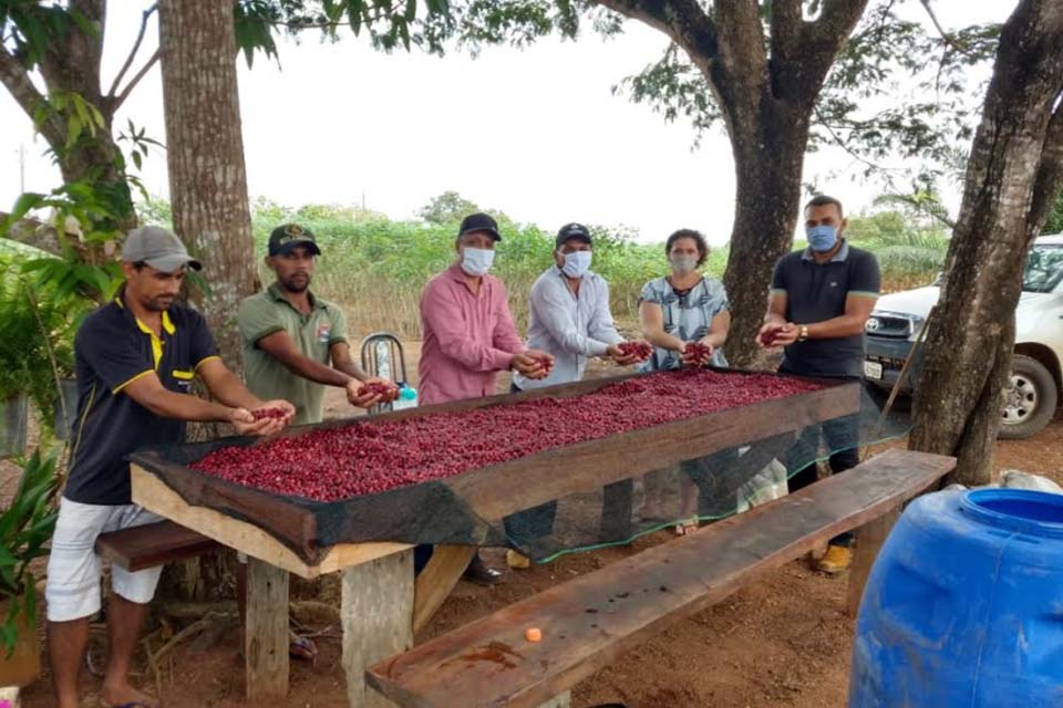 Prefeitura incentiva produção de café fermentado de forma anaeróbica