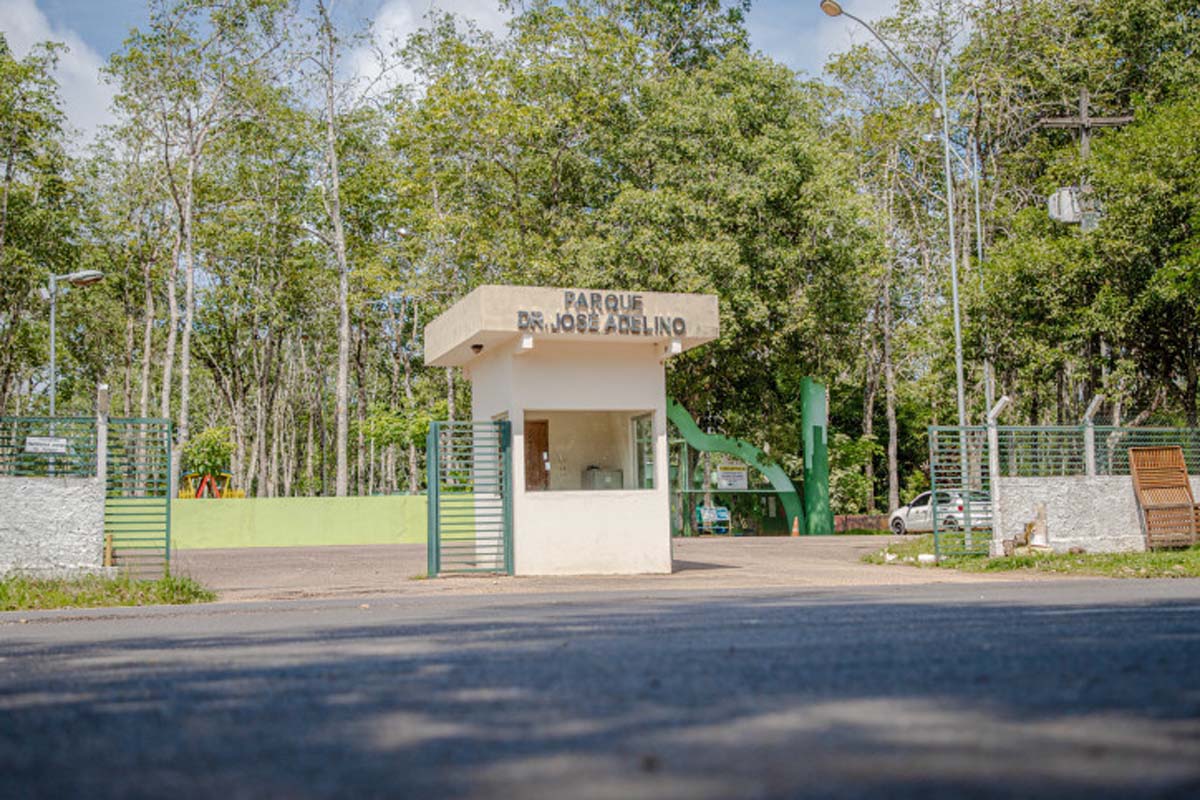 Com obras no Parque Circuito, vacinação de animais é feita na Divisão de Zoonoses