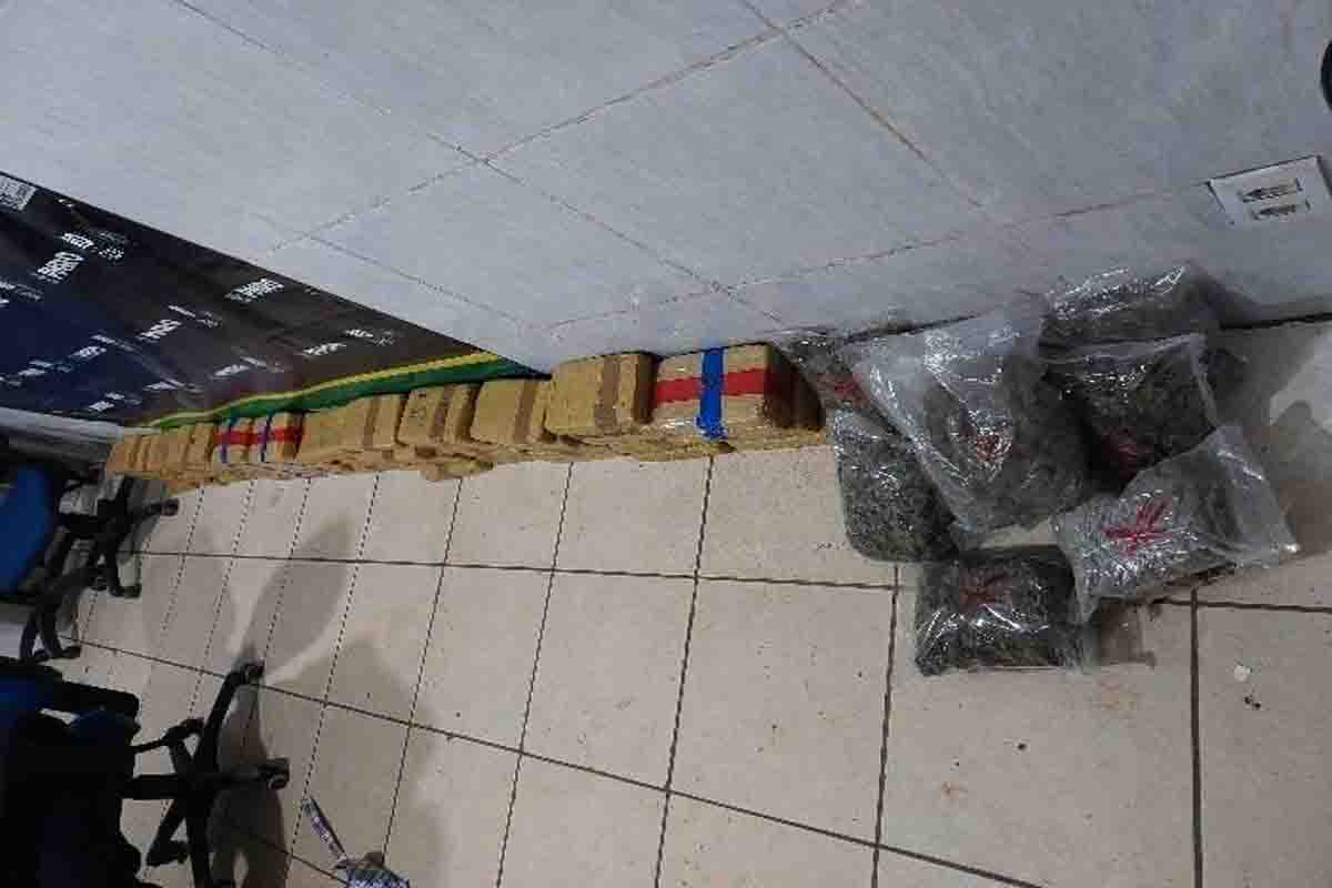 Polícia Militar apreende cerca de 70 quilos de drogas em Porto Velho