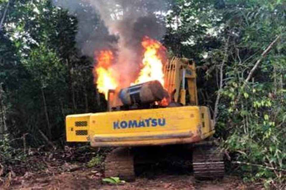 Lei de Rondônia que proibia destruição de bens apreendidos em operações ambientais é declarada inconstitucional