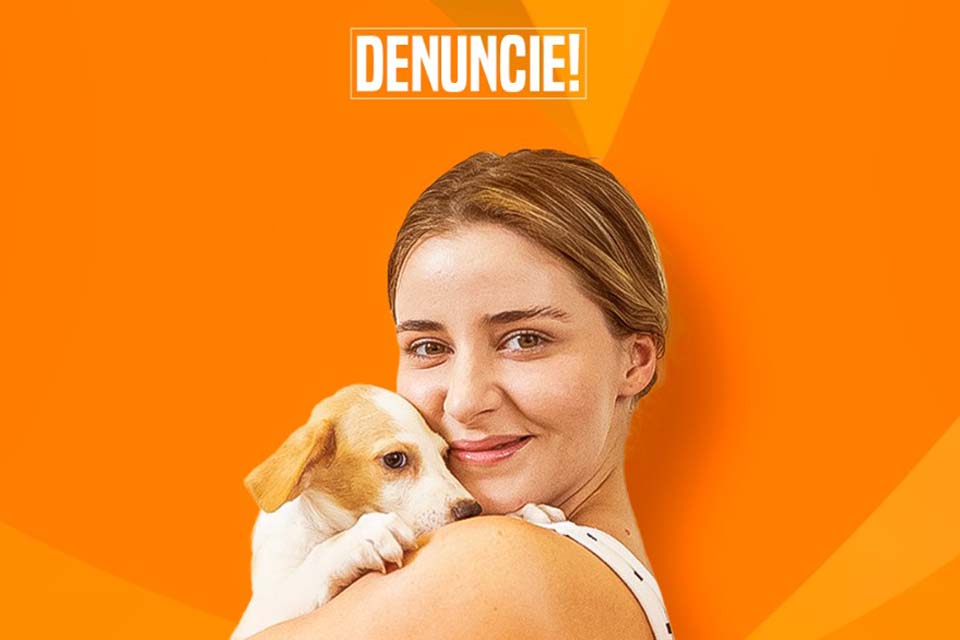 Secretaria Municipal de Proteção e Bem-Estar Animal de Ji-Paraná inicia ações da Campanha Abril Laranja