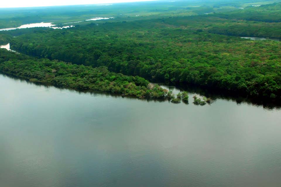 Conselho do PPI recomenda concessão de florestas no Amazonas