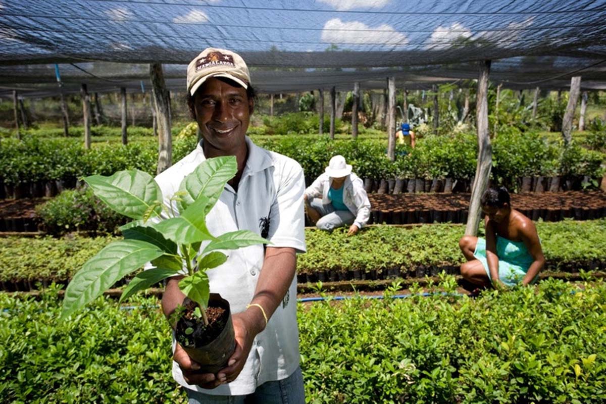 Em Rondônia, órgãos públicos já contrataram mais de R$ 8,5 milhões de microempreendedores e agricultores familiares pelo Contrata+Brasil