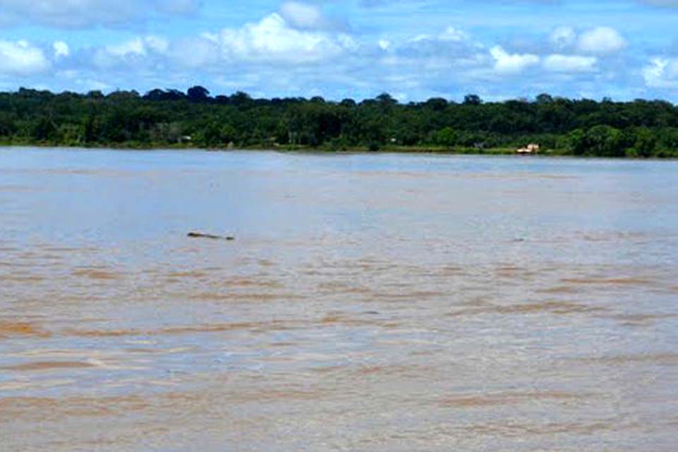 Rio Madeira está com o nível a 34 centímetros acima de sua cota de alerta