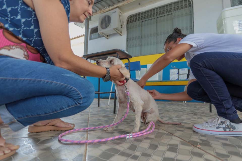 Semusa mantém Dia D de Vacinação Antirrábica, apesar da recomendação de suspensão de eventos externos