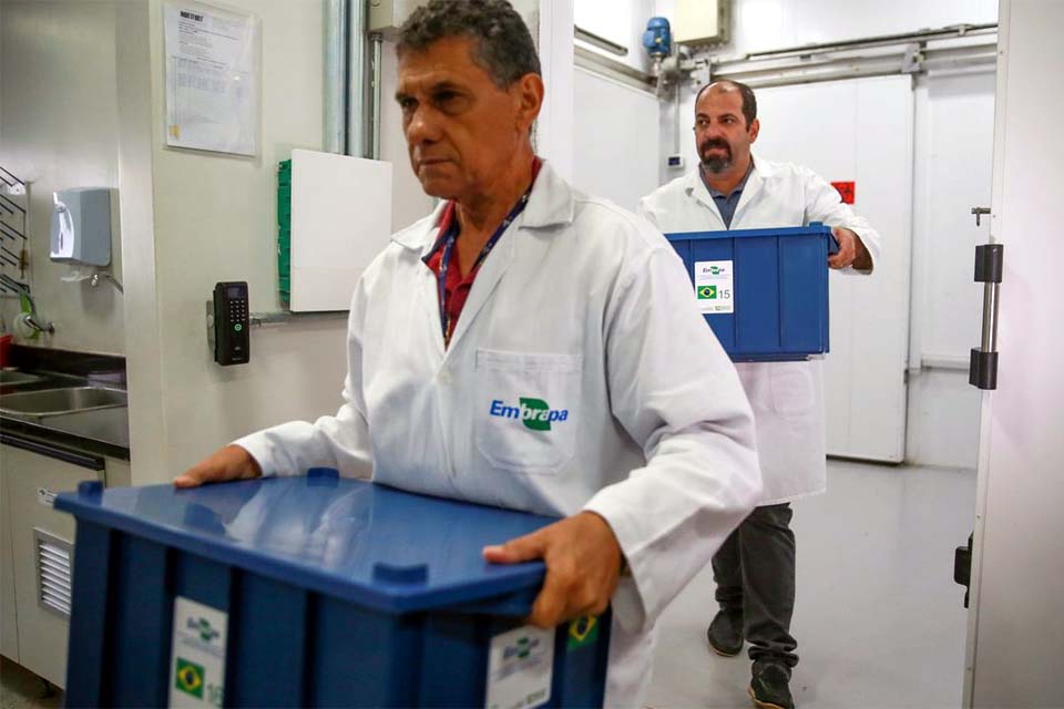 Embrapa envia sementes brasileiras para banco mundial na Noruega