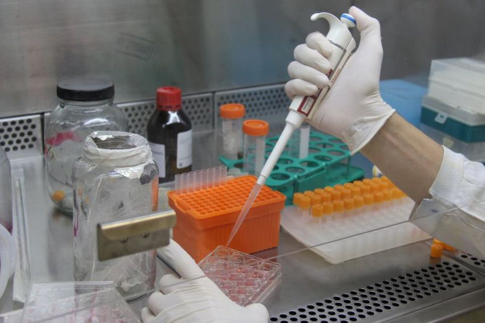 Fiocruz divulga possível eficácia de medicamento contra covid-19