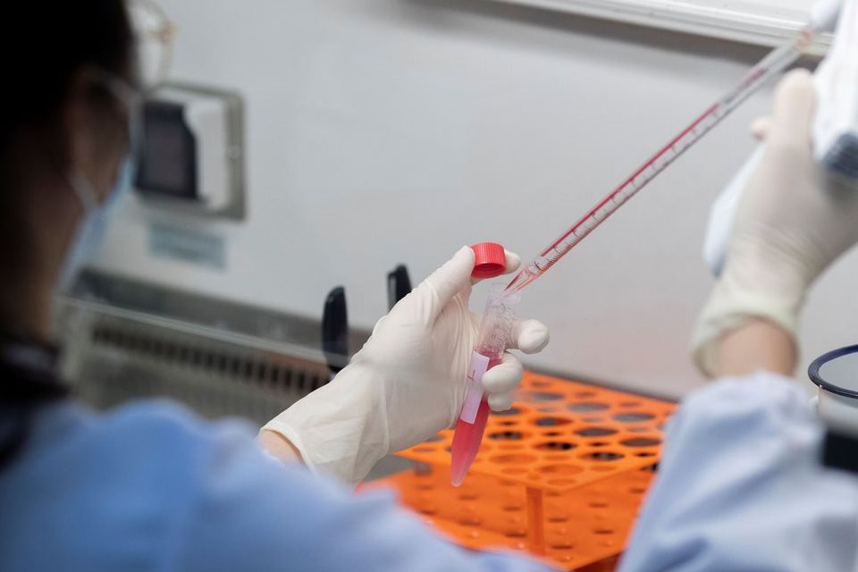 Capes lança programa de pesquisa de combate à epidemias