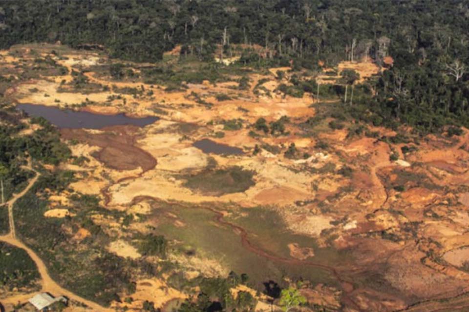 Rondônia – ‘‘Terra Roosevelt beira o colapso’’, anuncia Amazônia Real; cinta-largas se sentem ameaçados
