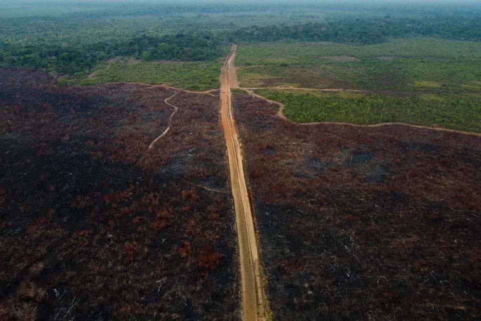Liga Amazonas a Rondônia: Retomada de obras de pavimentação na BR-319 preocupa ambientalistas, diz site