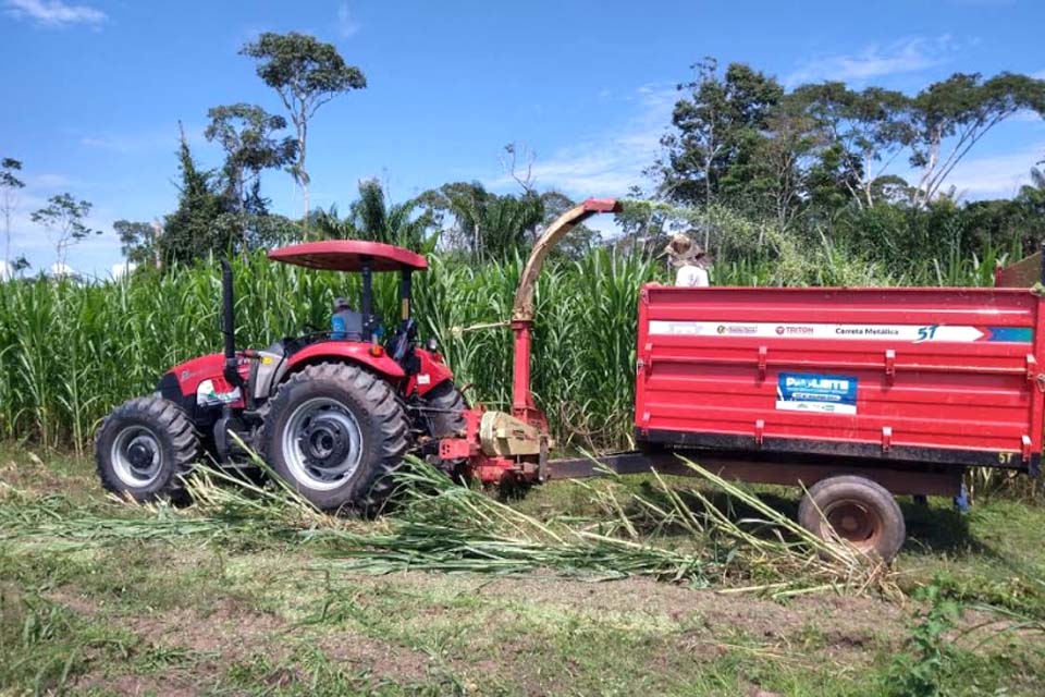 Semagri repassa técnica para produção de silagem de capim Açu para produtor