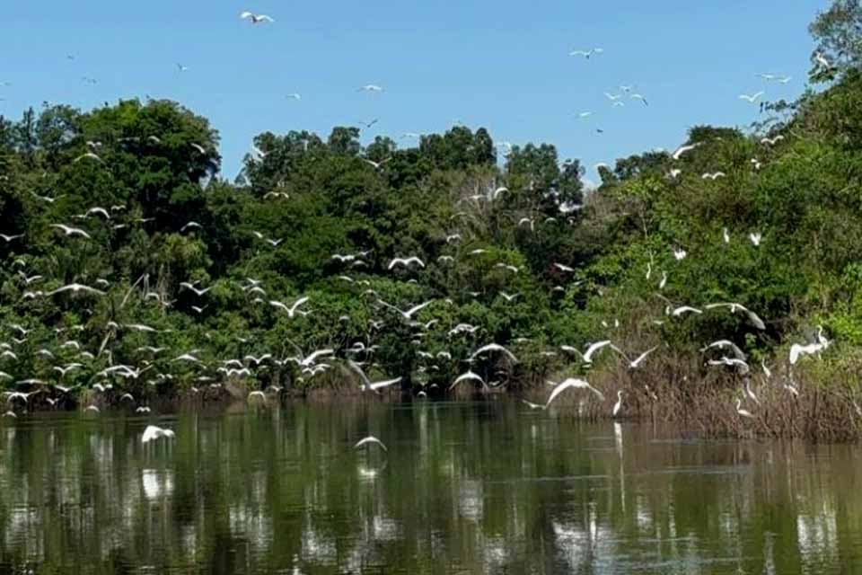 Prefeitura de Porto Velho amplia ações de fomento ao turismo de base comunitária na Resex Lago do Cuniã