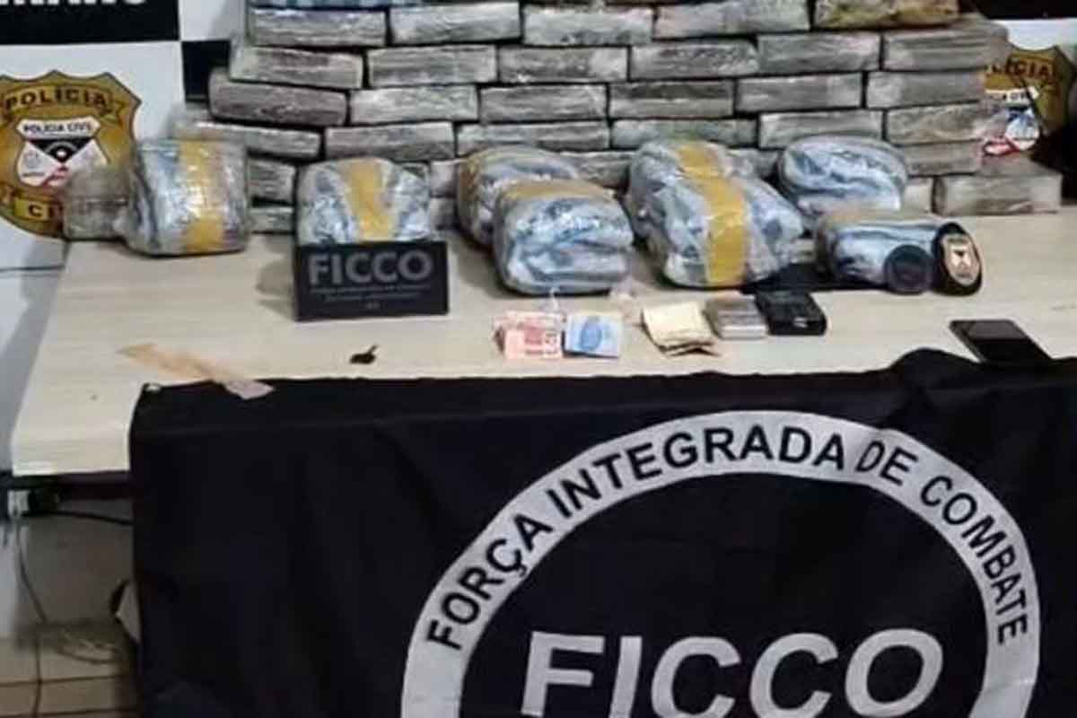 FICCO e DENARC apreendem 63 quilos de skunk e prendem trio em Porto Velho